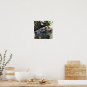 Alligator Foto Poster (Keuken)