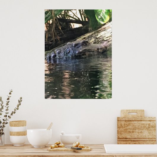Alligator Foto Poster (Keuken)