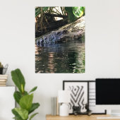 Alligator Foto Poster (Thuiskantoor)