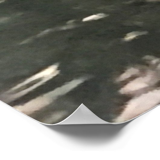 Alligator Foto Poster (Hoek)