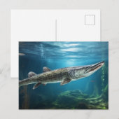 Alligator gar vis zwemmen Vis Briefkaart (Voorkant / Achterkant)
