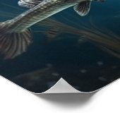 Alligator gar vis zwemmen Vis Print Poster (Hoek)