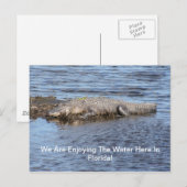 Alligator Gator Briefkaart (Voorkant / Achterkant)