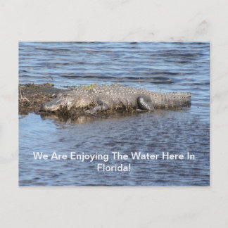 Alligator Gator Briefkaart