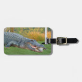 Alligator, gevaarlijke stof in Golf Bagagelabel (Voorkant horizontaal)