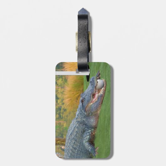 Alligator, gevaarlijke stof in Golf Bagagelabel (Achterkant verticaal)