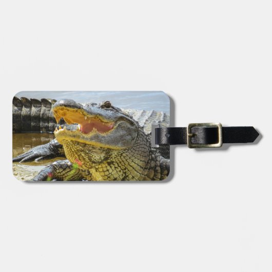 Alligator. Gezichtelijk Bagagelabel (Voorkant horizontaal)