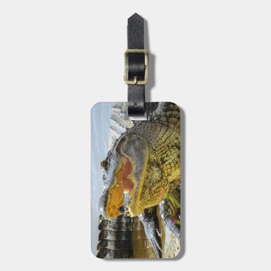 Alligator. Gezichtelijk Bagagelabel (Voorkant verticaal)