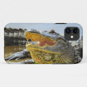 Alligator. Gezichtelijk Case-Mate iPhone Case (Achterkant (horizontaal))