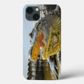 Alligator. Gezichtelijk Case-Mate iPhone Case (Achterkant)