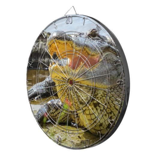 Alligator. Gezichtelijk Dartbord (Voorkant Rechts)