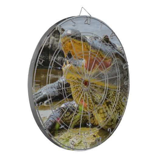 Alligator. Gezichtelijk Dartbord (Voorkant Links)