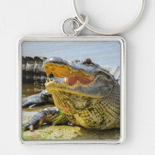 Alligator. Gezichtelijk Sleutelhanger
