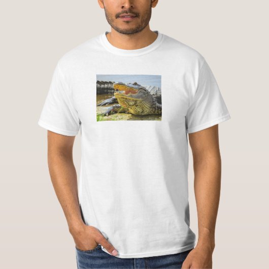 Alligator. Gezichtelijk T-shirt (Voorkant)