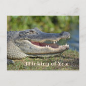 Alligator glimlachend denken over jou briefkaart (Voorkant)