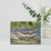 Alligator glimlachend denken over jou briefkaart (Staand voorkant)