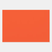 Alligator - Go Gators Inpakpapier Vel (Voorkant 2)