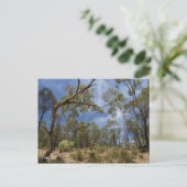 Alligator Gorge, Zuid-Australië Briefkaart (Staand voorkant)