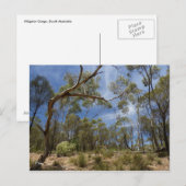 Alligator Gorge, Zuid-Australië Briefkaart (Voorkant / Achterkant)