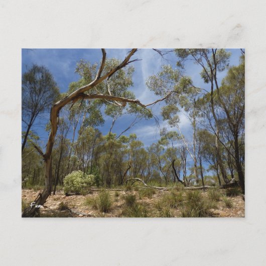Alligator Gorge, Zuid-Australië Briefkaart (Voorkant)