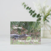 Alligator Greetings Briefkaart (Staand voorkant)