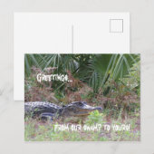 Alligator Greetings Briefkaart (Voorkant / Achterkant)