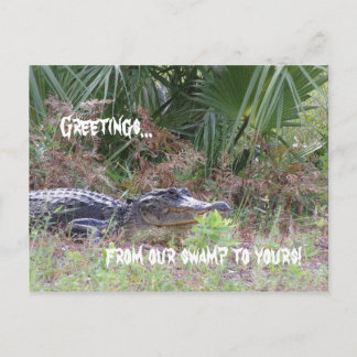 Alligator Greetings Briefkaart