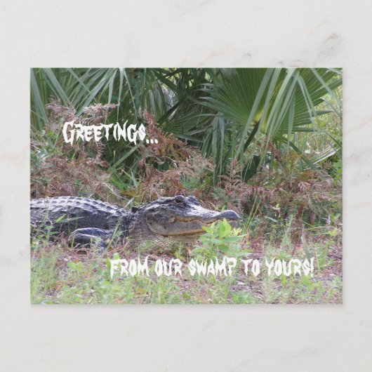 Alligator Greetings Briefkaart (Voorkant)