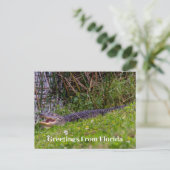 Alligator Greetings uit Florida personaliseert Briefkaart (Staand voorkant)