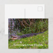 Alligator Greetings uit Florida personaliseert Briefkaart (Voorkant / Achterkant)