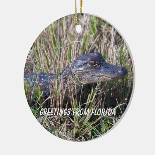 Alligator Groeten uit Florida Keramisch Ornament (Links)