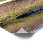 Alligator Hazard op Golfcursus Poster (Hoek)