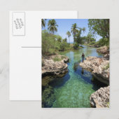 Alligator Hole, Black River Town, Jamaica Briefkaart (Voorkant / Achterkant)