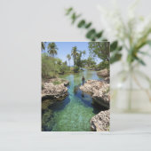 Alligator Hole, Black River Town, Jamaica Briefkaart (Staand voorkant)