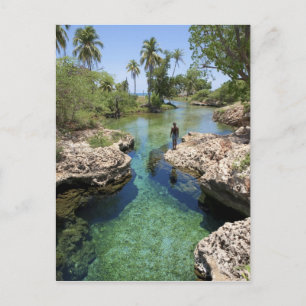 Alligator Hole, Black River Town, Jamaica Briefkaart