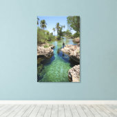 Alligator Hole, Black River Town, Jamaica Canvas Afdruk (Insitu (Houten vloer))