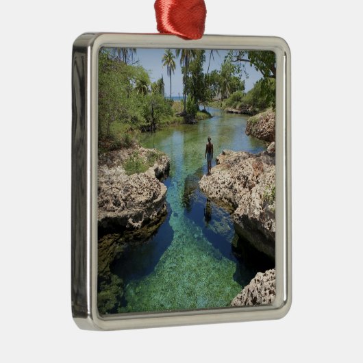 Alligator Hole, Black River Town, Jamaica Metalen Ornament (Rechts)