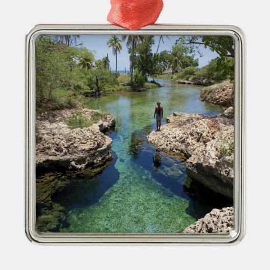 Alligator Hole, Black River Town, Jamaica Metalen Ornament (Voorkant)