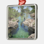 Alligator Hole, Black River Town, Jamaica Metalen Ornament (Links)
