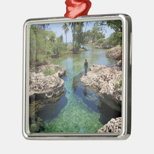 Alligator Hole, Black River Town, Jamaica Metalen Ornament (Links)
