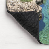 Alligator Hole, Black River Town, Jamaica Muismat (Hoek)