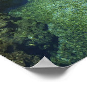 Alligator Hole, Black River Town, Jamaica Poster (Hoek)