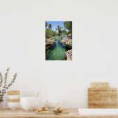 Alligator Hole, Black River Town, Jamaica Poster (Keuken)