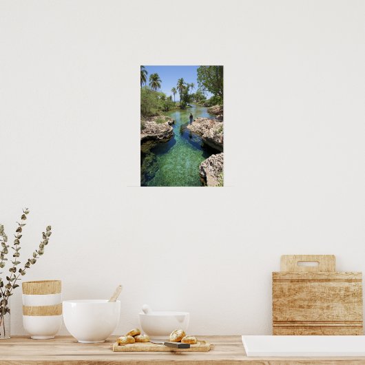 Alligator Hole, Black River Town, Jamaica Poster (Keuken)