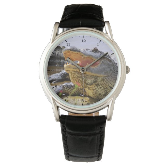 Alligator Horloge (Voorkant)