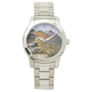 Alligator Horloge