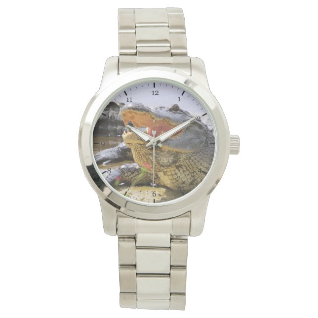 Alligator Horloge (Voorkant)