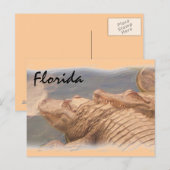 Alligator houdt van Florida briefkaart (Voorkant / Achterkant)