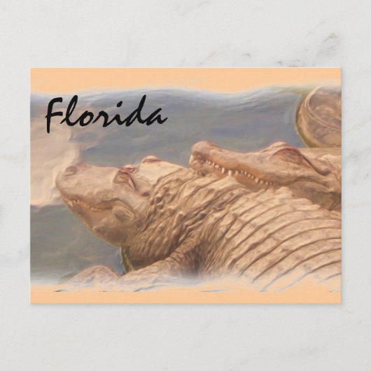 Alligator houdt van Florida briefkaart (Voorkant)