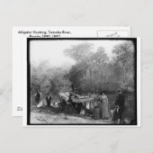 Alligator Hunting, Tomoka River, Florida 1880-1897 Briefkaart (Voorkant / Achterkant)
